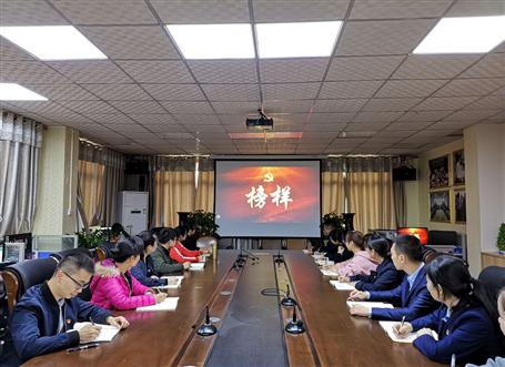 向榜樣看齊，做合格黨員