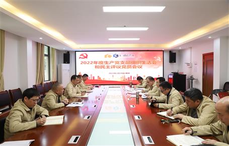 廖立波、唐峰、何勇以普通黨員身份參加所在黨支部2022年度組織生活會(huì)